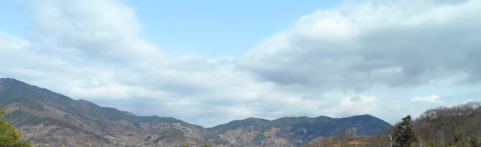 ���� ���� �ñ�